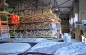 Продажа иранских ковров оптом в Москве